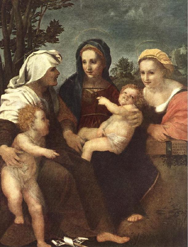 Andrea del Sarto Madonna and Child with Sts Catherine, Elisabeth and John the Baptist France oil painting art